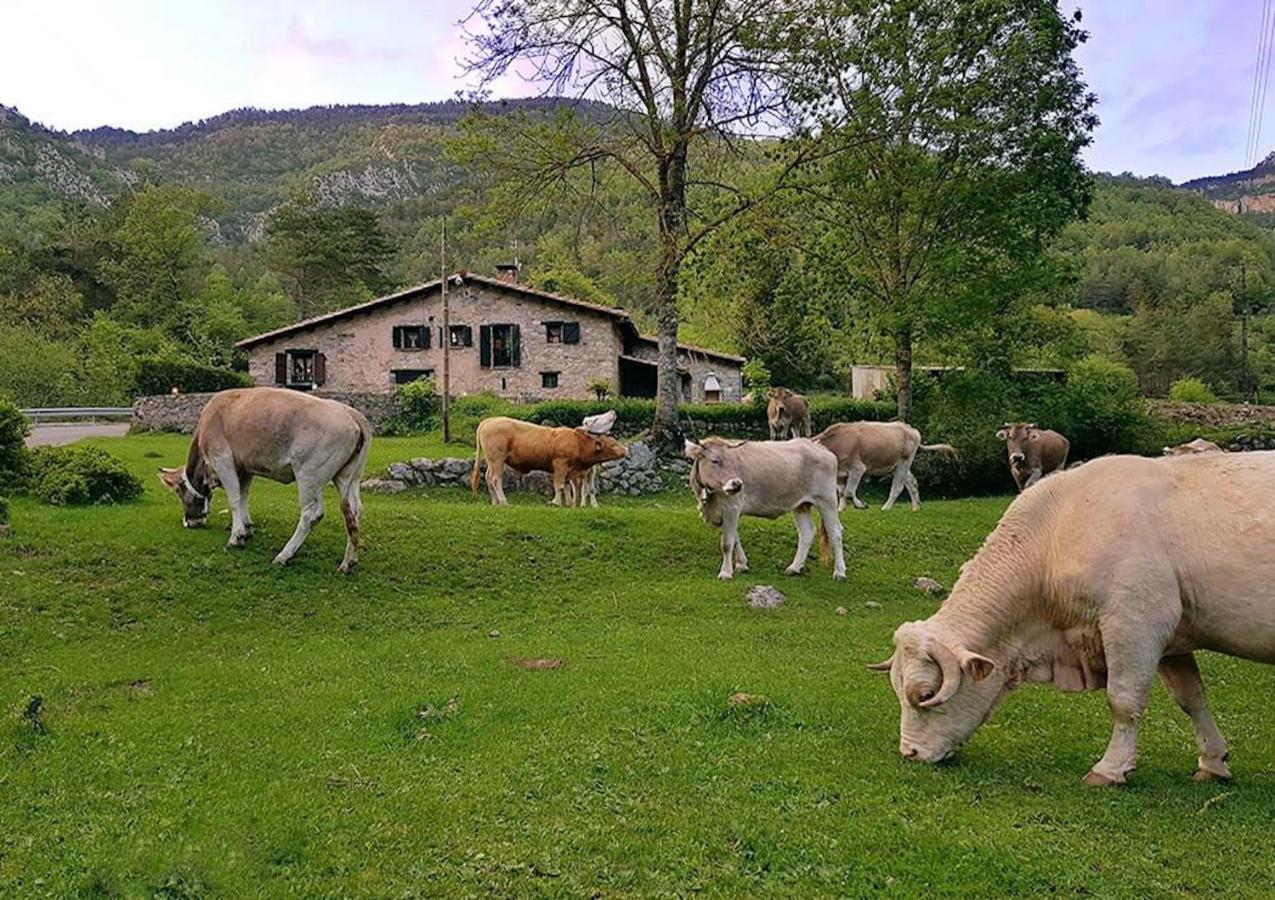 Hauzify I Apartament Bella Molina Alp Exteriör bild